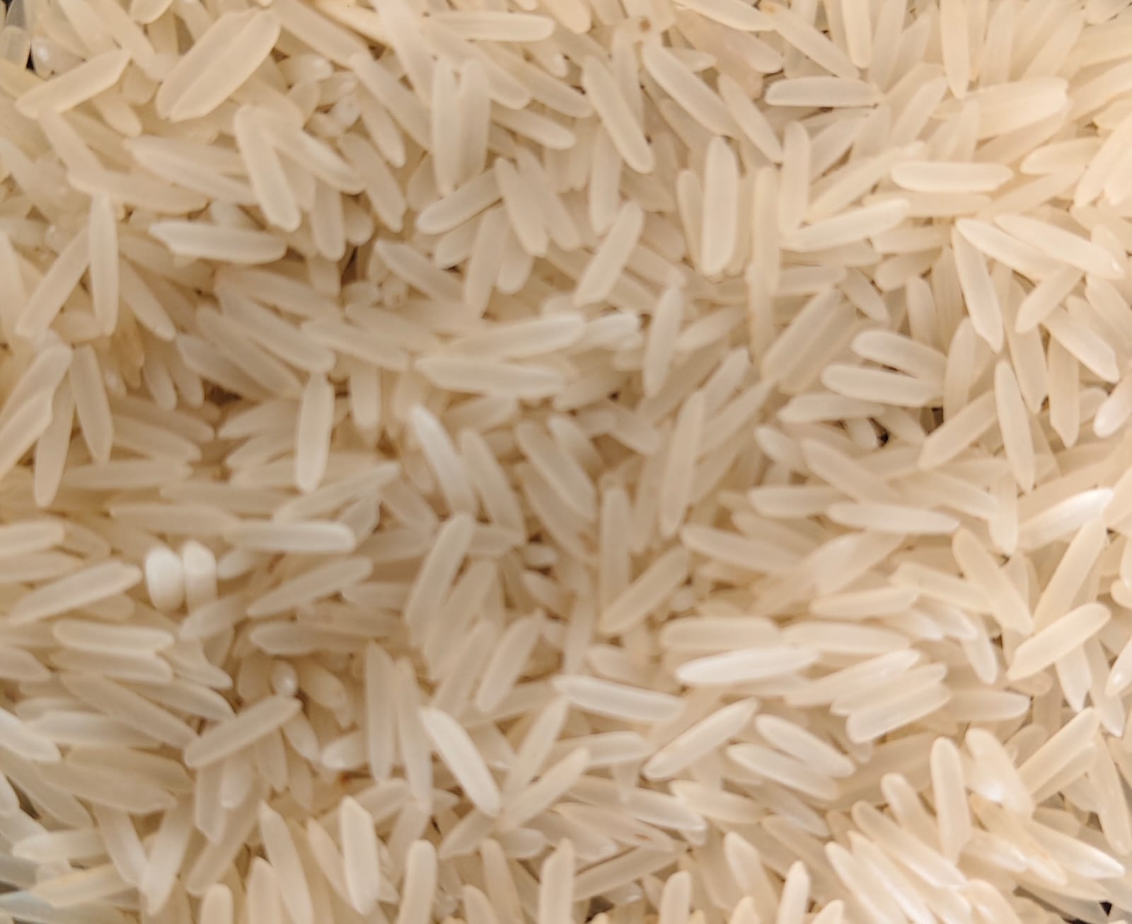 1401 White/Creamy Sella Rice