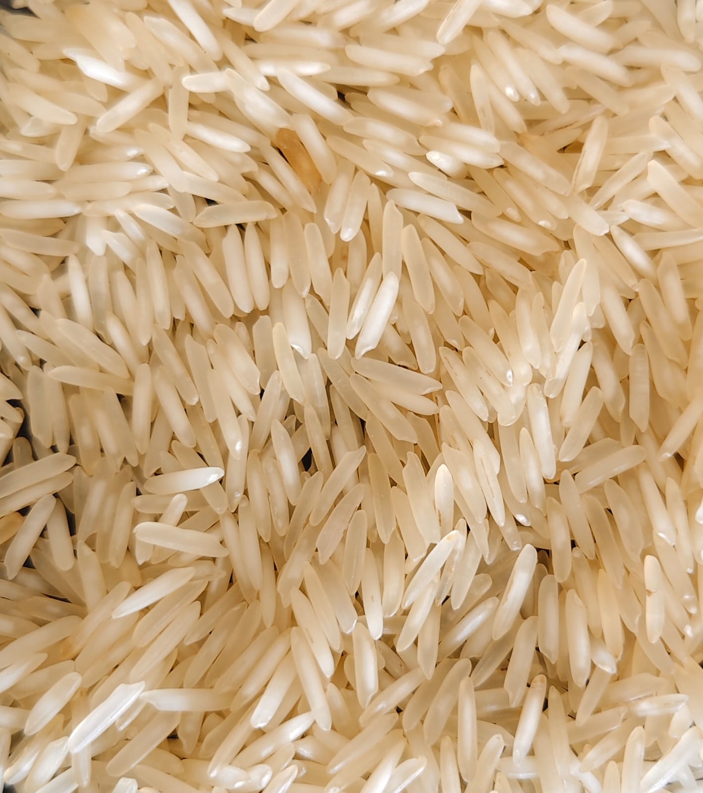 1121 Steam Basmati Rice
