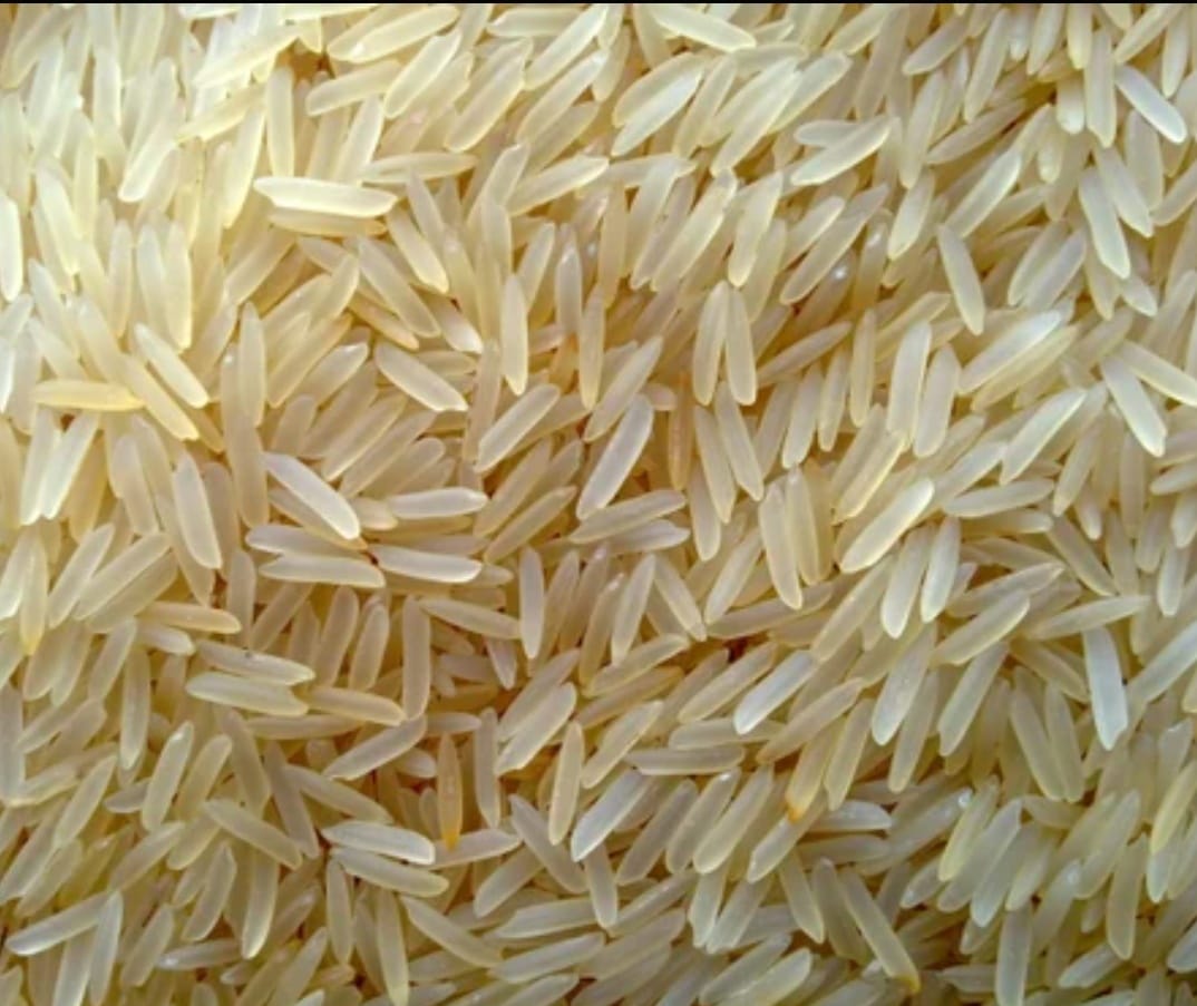 1401 White/Creamy Sella Rice