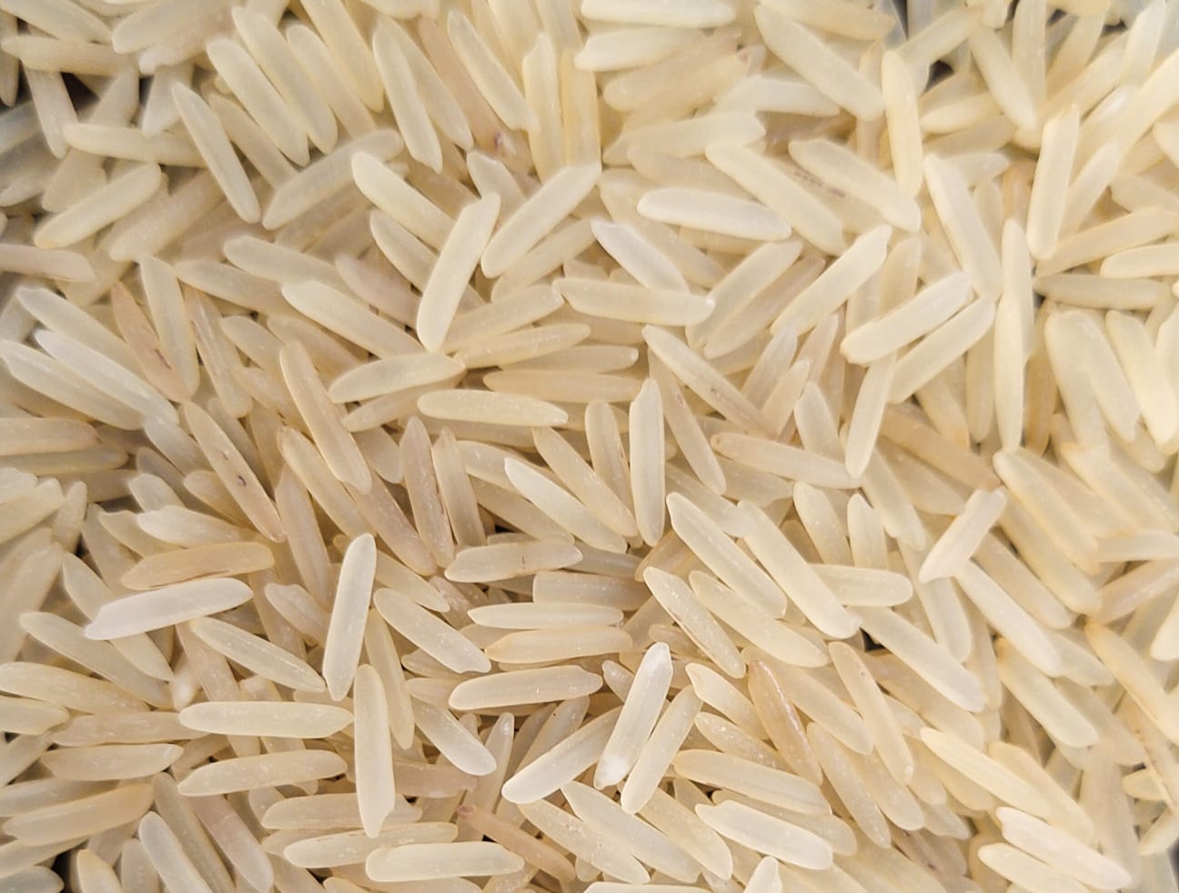 1121 Golden Sella Rice