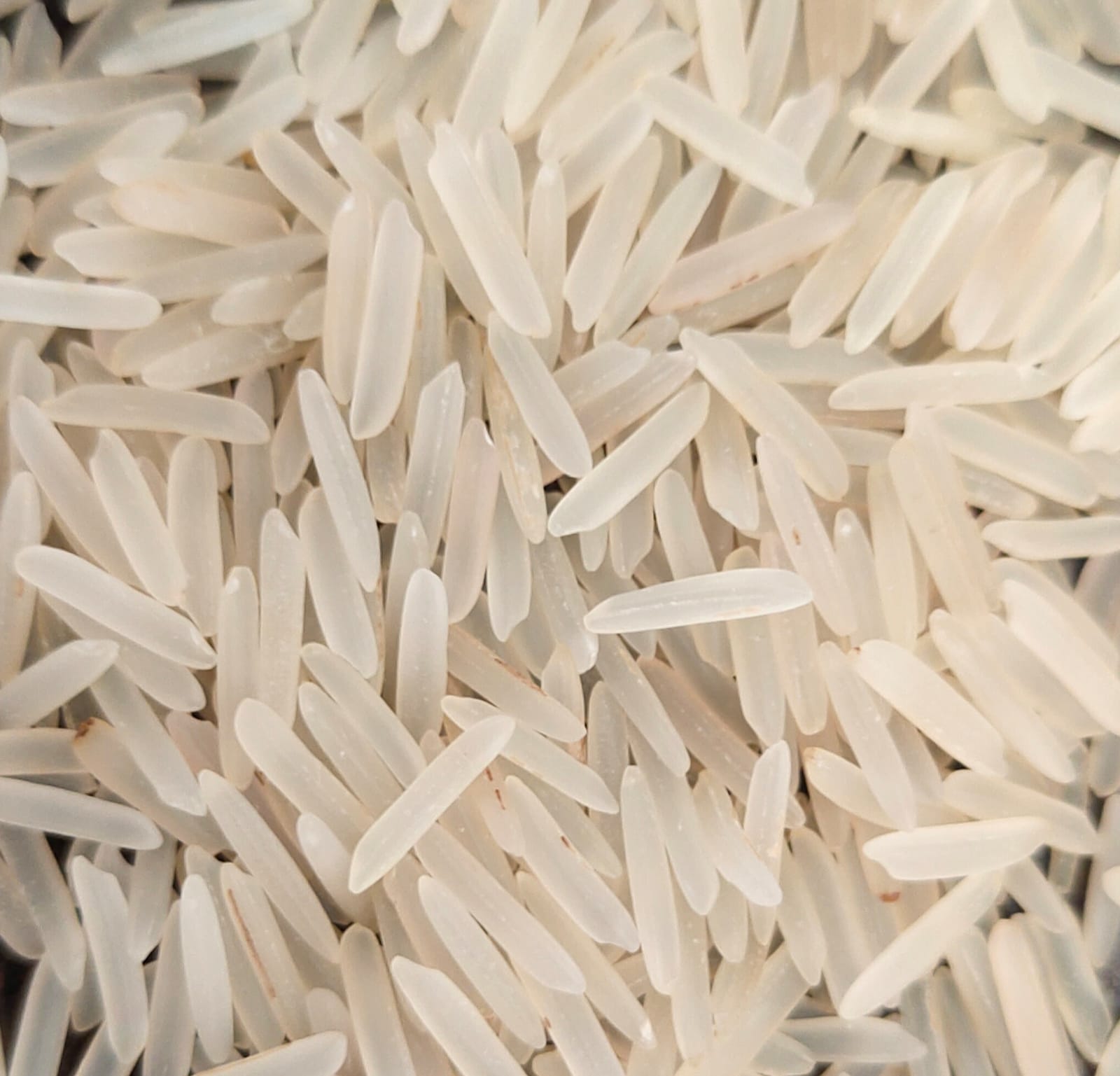 1401 White/Creamy Sella Rice