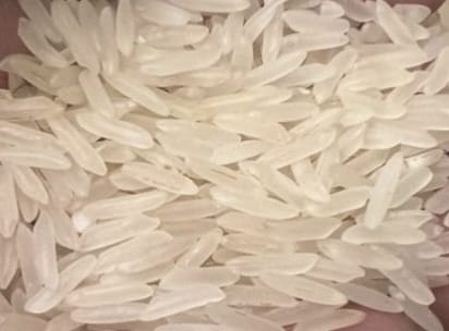 1401 White/Creamy Sella Rice