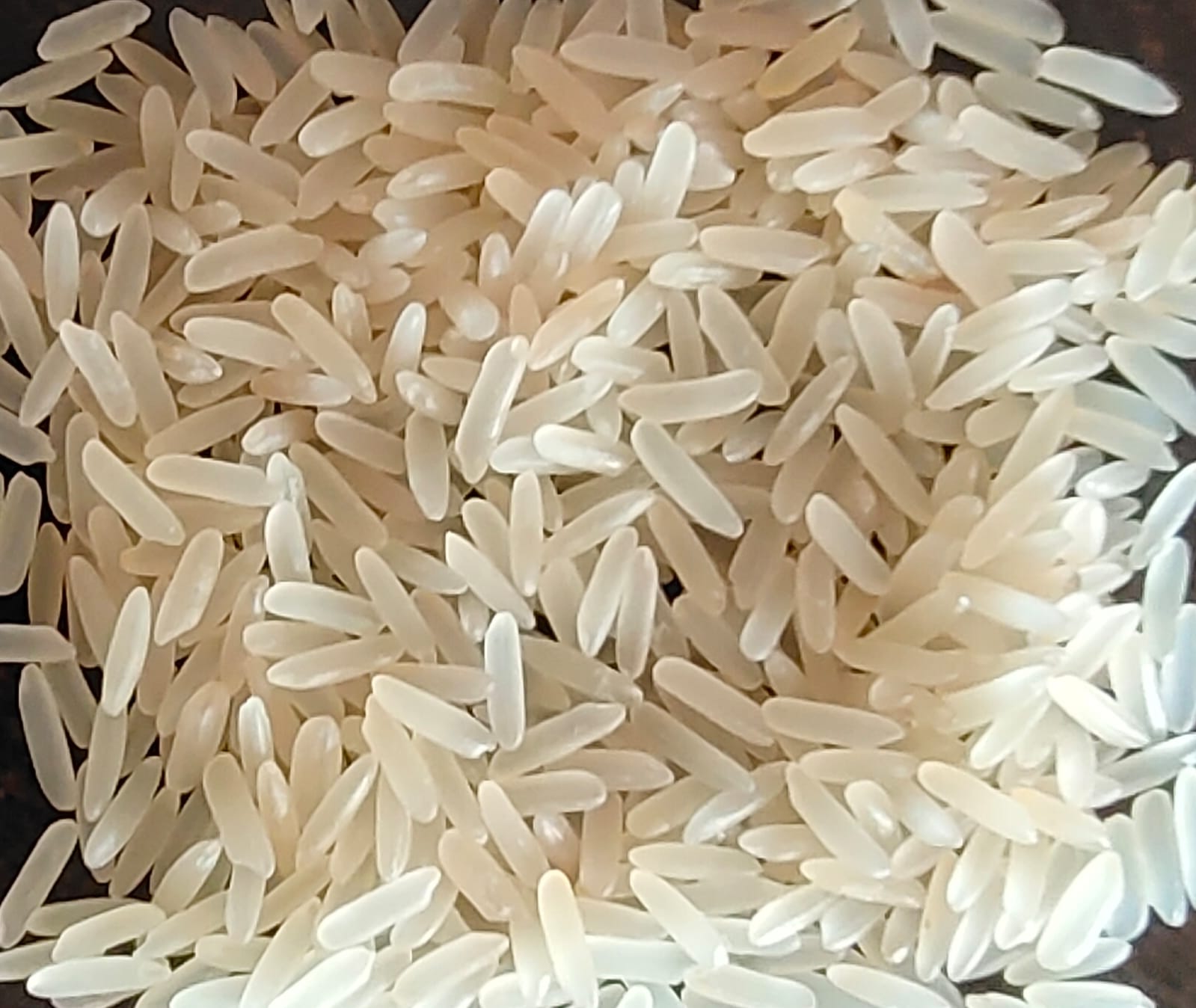 1401 White/Creamy Sella Rice