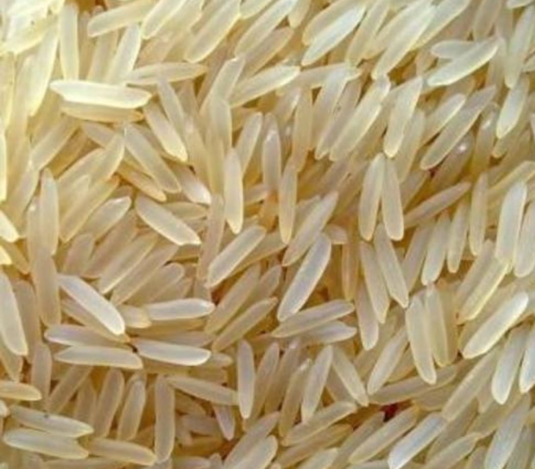 1121 Golden Sella Rice