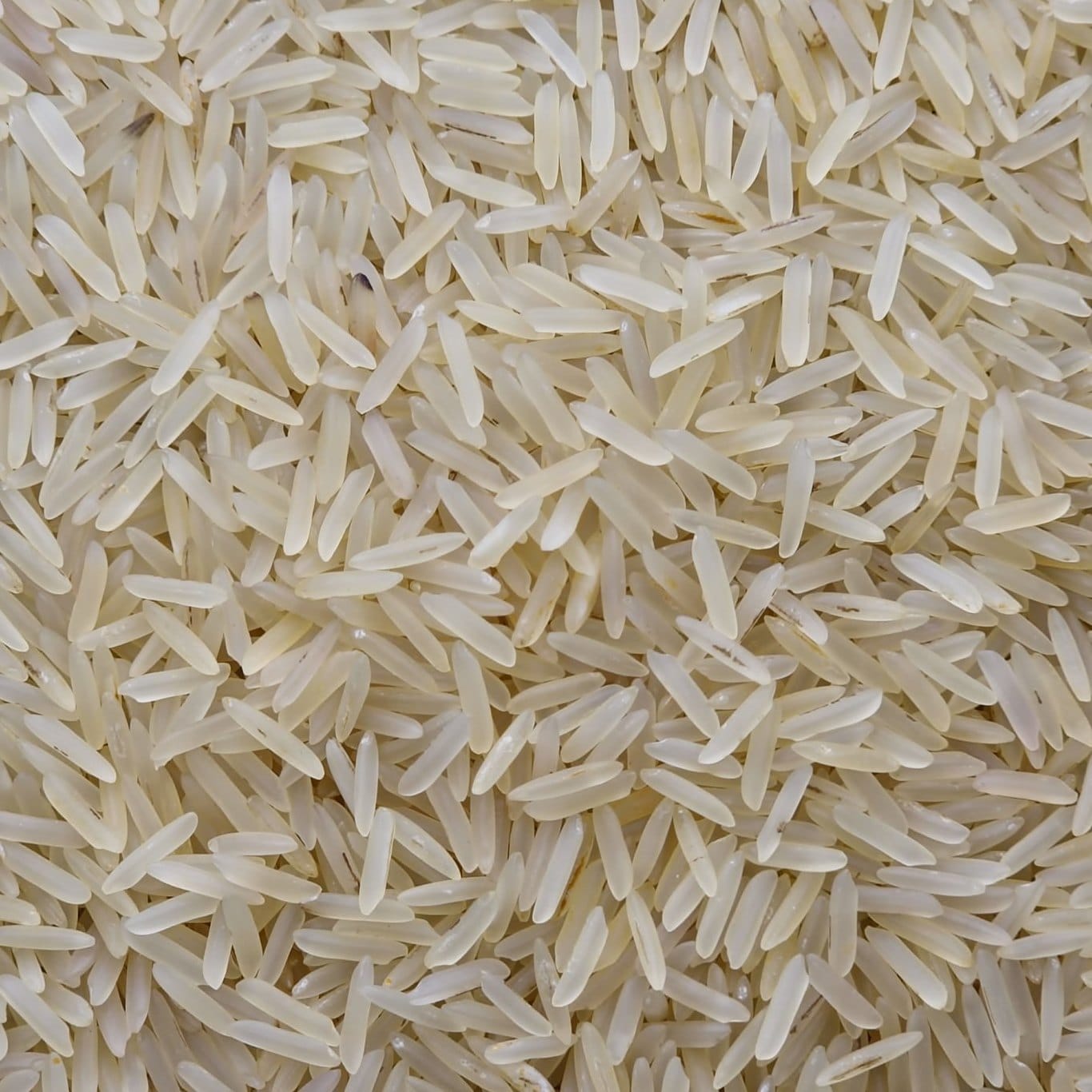 1121 Golden Sella Rice