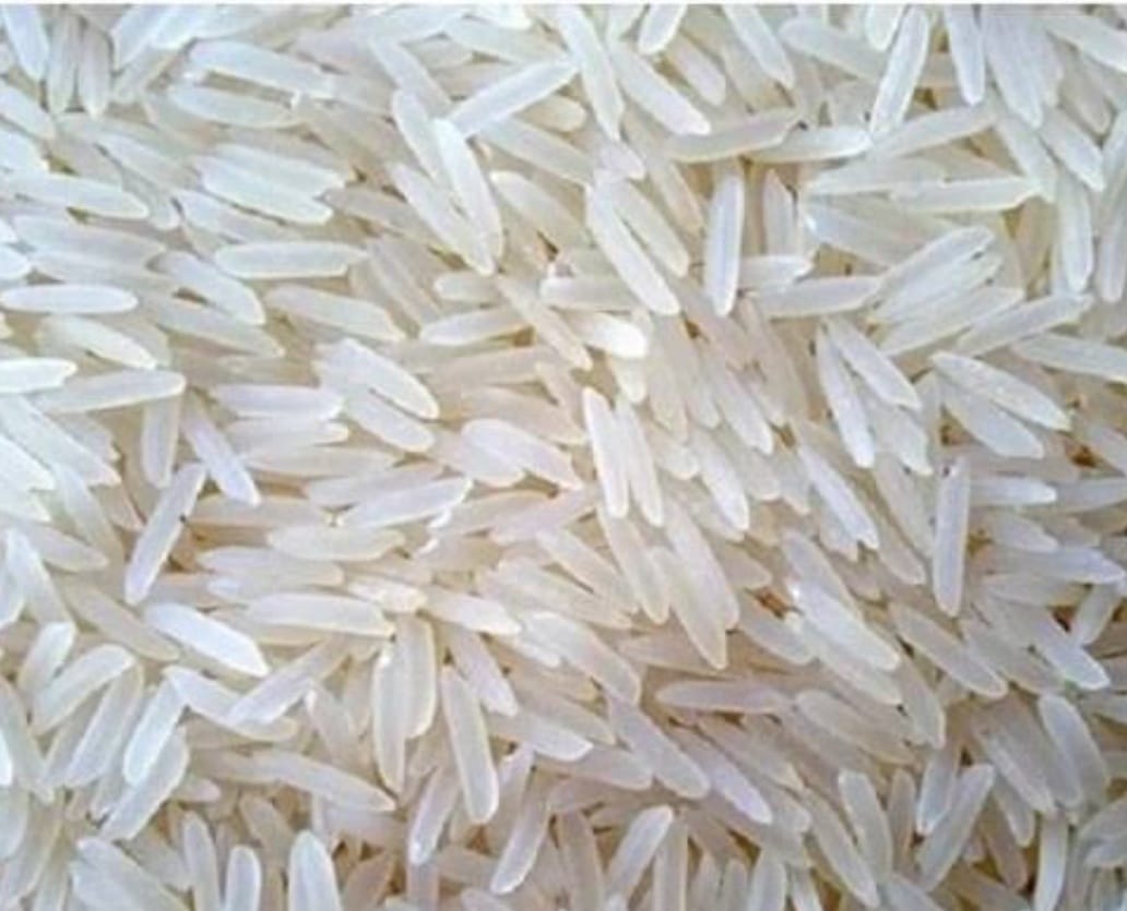 1401 White/Creamy Sella Rice